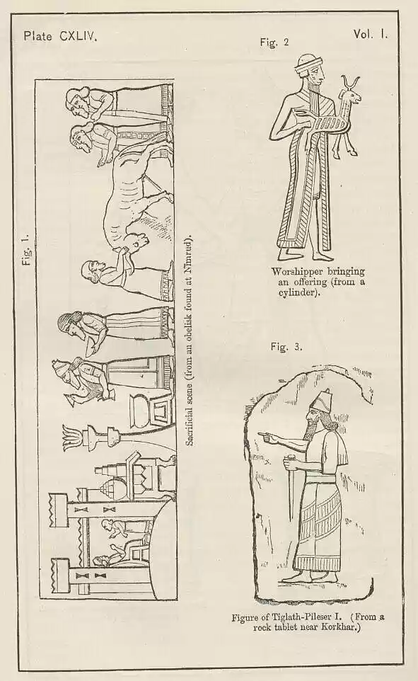 plate144